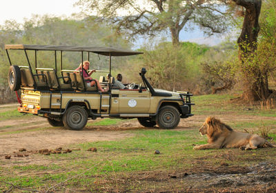 Game Drives